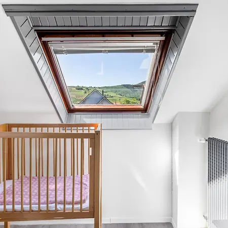 度假居 Le Clos Alsacien Parking Prive & Ve *