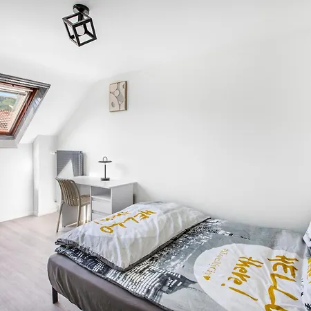 Le Clos Alsacien Parking Prive & Ve